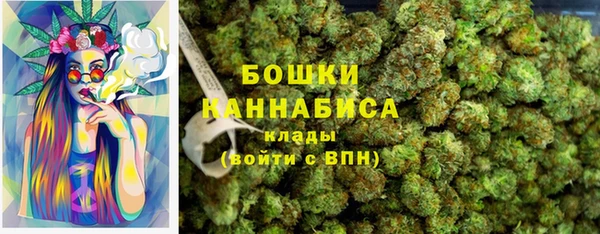 сатива Баксан