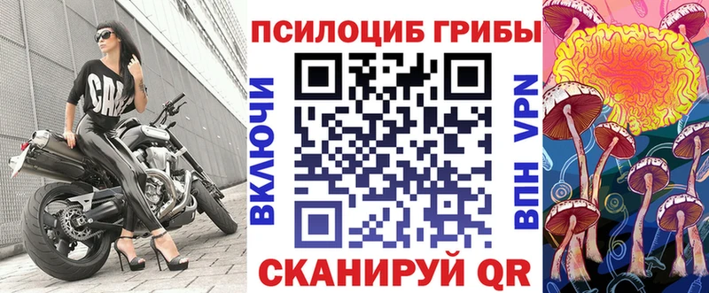 купить закладку  Темрюк  Галлюциногенные грибы Cubensis 
